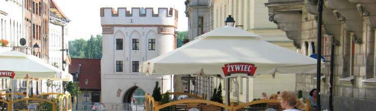 przewodnik miejski Toruń
